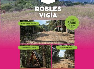 Terreno / Lote , Tlalnepantla · Terreno en El Bosque - Robles Vigía