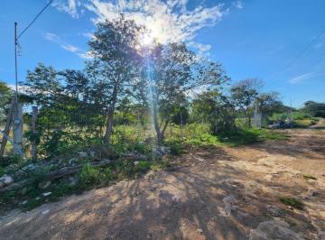 Terreno / Lote · 11933m² · Terreno en Venta en Dzityá