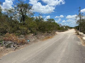 Terreno / Lote · 5242m² · Terreno en Venta Excelente Para Desarrolladores en Dzityá