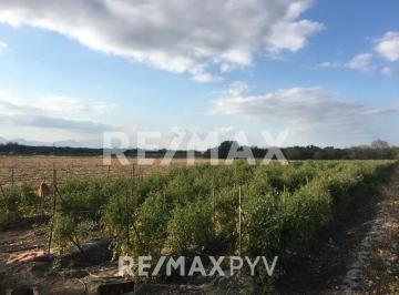 Terreno / Lote · 10837m² · Terrenos en Venta en El Palmito, Allende. - 7697 - (4)