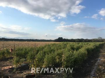 Terreno / Lote · 10837m² · Terrenos en Venta en El Palmito, Allende. - 7697 - (4)