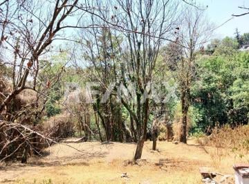 Terreno / Lote · 2942m² · Terreno en Venta, Desierto de Los Leones, Alcaldía Álvaro Obregón - (4)