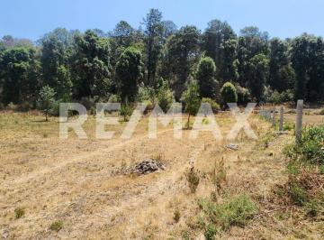 Terreno / Lote · 11618m² · Terreno en Venta - (4)