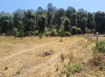 Terreno / Lote · 11618m² · Terreno en Venta - (4)