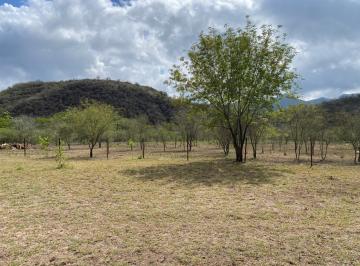 Terreno / Lote , Santiago · Excelente Terreno en Venta a Solo 3 Km de La Carretera Nacional en El Barrial