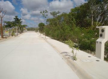 Terreno / Lote , Mérida · Terreno en Venta Aire Puro Tamanche Mérida Yucatán