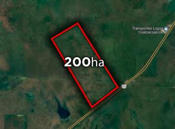 Terreno / Lote , Cosoleacaque · 200 Hectáreas a Pie de Carretera en Coatzacoalcos | Arlette Flores