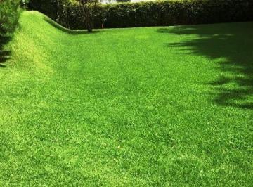Terreno / Lote , Alvaro Obregón · Desarrollo Tenis, Frente a Rancho San Francisco, Terreno en Venta