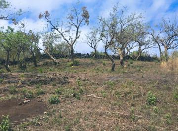 Terreno / Lote , Tepoztlán · Terreno en Venta en Tepoztlán