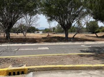 Terreno / Lote , Atlixco · Terreno en Atlixco, La Alfonsina.