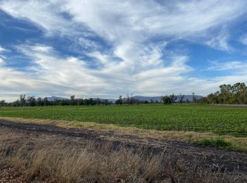 Terreno / Lote , El Marqués · Terreno en Venta en Amazcala, 5 Hectáreas El Marques Queretaro