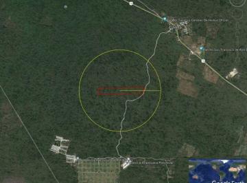 Terreno / Lote · 70000m² · Terreno 7 Hectáreas en Seye