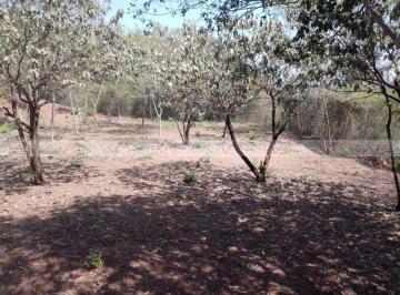 Terreno / Lote , Allende · Terreno / Lote en Venta en Colinas de Allende