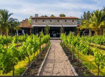 Terreno / Lote · 13550m² · Terreno en Venta en Viñedos San Lucas, San Miguel de Allende