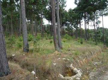 Terreno / Lote , San Cristóbal de las Casas · Terreno en Venta, en San Cristóbal de Las Casas