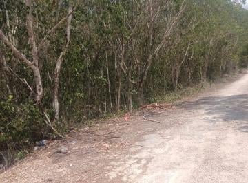 Terreno / Lote , Tulum · Terreno de m² en Venta, Francisco Uh - May
