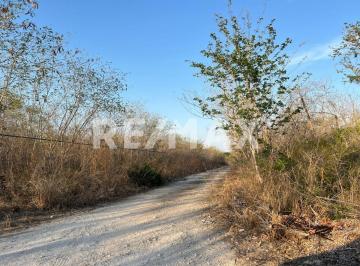 Terreno comercial · 5003m² · Renta Terreno a Una Cuadra de La Carr Merida - Progreso a Km. 7 de Mérida. - (4)