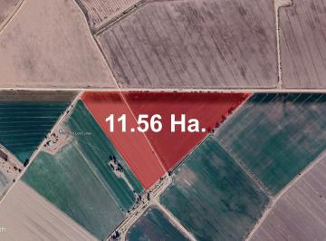 Terreno / Lote , Mexicali · Terreno Agrícola Productivo con Potencial Pecuario y Agroindustrial