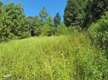 86d862ca94578985ede97bd27c82c16f8c3deed878f32081f8d6282844a537c9 · Terreno Comercial en Venta Valle de Bravo.