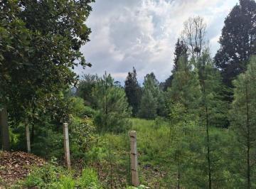 1343d37664e7766d9e1980903e7ccbf89a8b2e1d484c94cad509d77d96a59132 · Terreno Comercial en Venta Valle de Bravo.