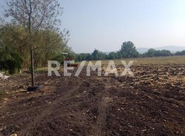 Terreno / Lote · 80000m² · Terreno en Venta - (4)