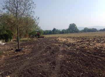 Terreno / Lote · 80000m² · Terreno en Venta - (4)