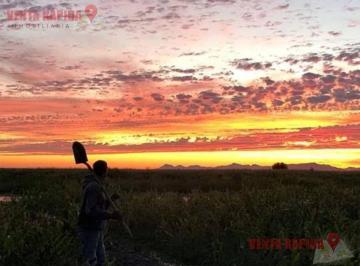 Rancho · 1750000ha · Campo en Poblado Comunal El Coloradito