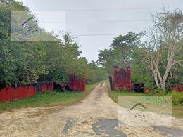 Huerta · 2800000m² · 5 Recámaras · Finca - Cansahcab