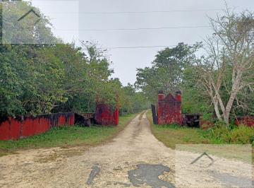 Huerta · 2800000m² · 5 Recámaras · Finca - Cansahcab