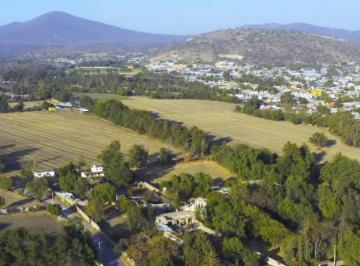 Huerta , Tepetlaoxtoc · Tierra de Cultivo (Maíz - Alfalfa) y Ganado en Venta
