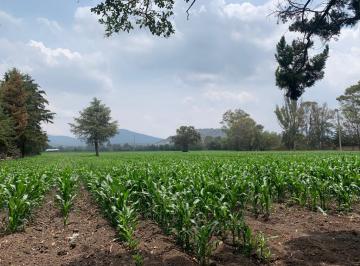 Huerta , Tepetlaoxtoc · Huerta de 22,0000 m en Venta en San Pablo Jolalpan