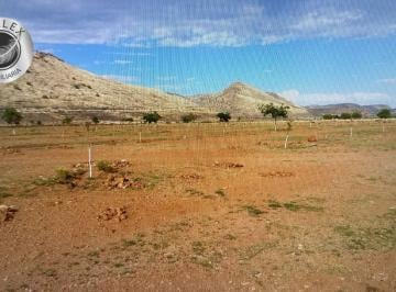 Terreno / Lote · 84000m² · 3 Recámaras · Rancho en Venta en Calle El Sauz