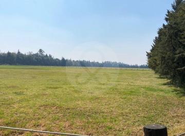 Terreno / Lote · 27085m² · Terreno Residencial en Venta en Nueva Venecia