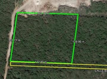 Terreno / Lote · 23000ha · Terreno en Venta en Conkal Yucatán Junto a Desarrollo de Lujo