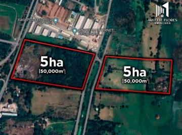 Terreno / Lote , Veracruz · 10 Hectáreas en Venta en Mata de Pita Veracruz | Arlette Flores