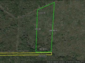 Terreno / Lote · 26000ha · Terreno en Venta en Conkal Yucatán Ideal Para Desarrollo