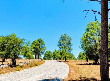 Terreno / Lote , Tapalpa · Terreno en Tapalpa, Zona Los Encinos