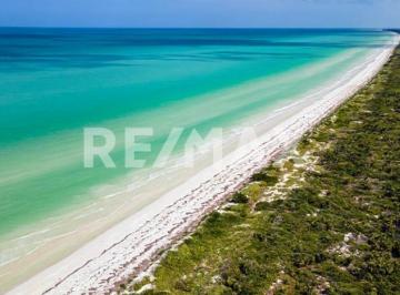 Terreno / Lote · 1218m² · Terreno en Venta Frente Al Mar de 15 m de Frente en Sisal, Yucatán - (4)