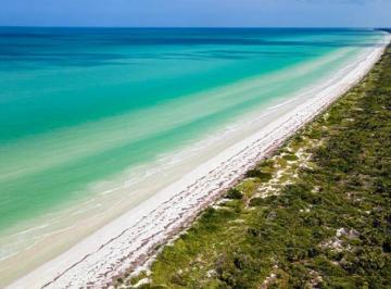 Terreno / Lote · 1218m² · Terreno en Venta Frente Al Mar de 15 m de Frente en Sisal, Yucatán - (4)