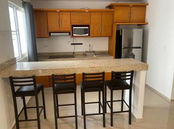 Departamento de 1 habitación, Solidaridad · Departamento Amueblado Tipo Loft
