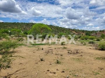 Terreno / Lote · 22524m² · Terreno en Venta en Acatlán de Osorio - (4)