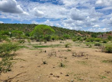 Terreno / Lote · 22524m² · Terreno en Venta en Acatlán de Osorio - (4)