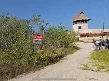Terreno / Lote · 1000m² · Venta de Terreno en Holbox