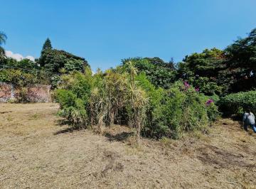 Terreno / Lote , Cuernavaca · Terreno Chapultepec, Cuernavaca