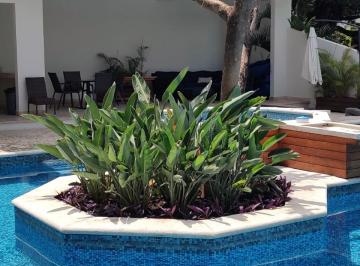 Departamento de 3 habitaciones, Cuernavaca · Penthouse Acapantzingo, Cuernavaca