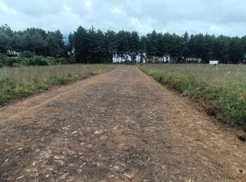 Terreno / Lote , Salvador Escalante · Lote Rústico Campestre Ideal Para La Cabaña de Tus Sueños