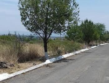 Terreno / Lote , Silao · Venta de Terreno Campestre Fracc. Lomas del Sur 1a. Sección Sta. Ana del Conde
