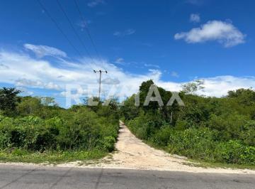 Terreno / Lote · 263m² · 1 Recámara · Venta Terreno Chuburna Puerto 4ta Fila Entrada Jurel a 3 Km Chuburna Puerto, Yuc - (4)