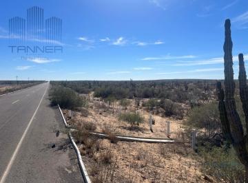 Terreno / Lote · 5038000m² · Venta de Terreno en Los Cabos Km 43, El Mezquite de Don Dominguez