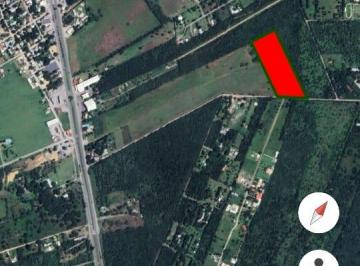 Terreno / Lote , Montemorelos · Terreno en Venta Congregacion Calles (El Blanquillo) Montemorelos Nuevo Leon